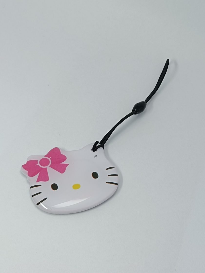 Card into Key Tag - 008