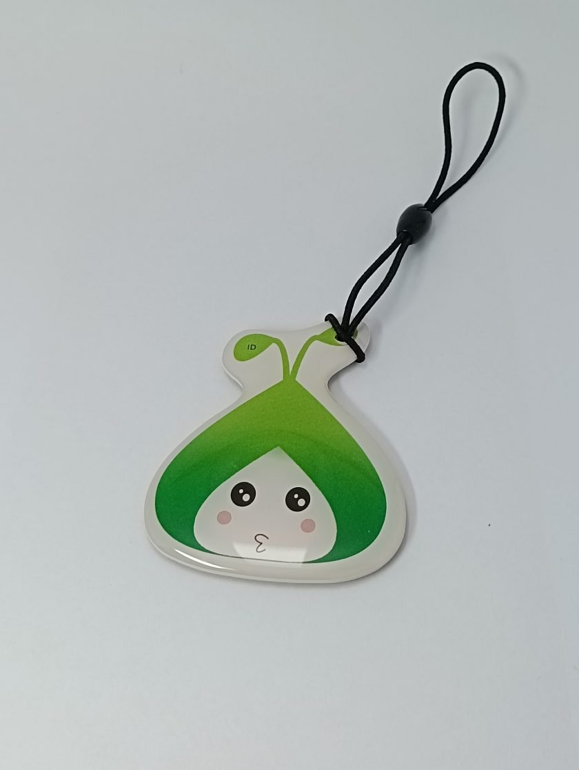 Card into Key Tag - 028
