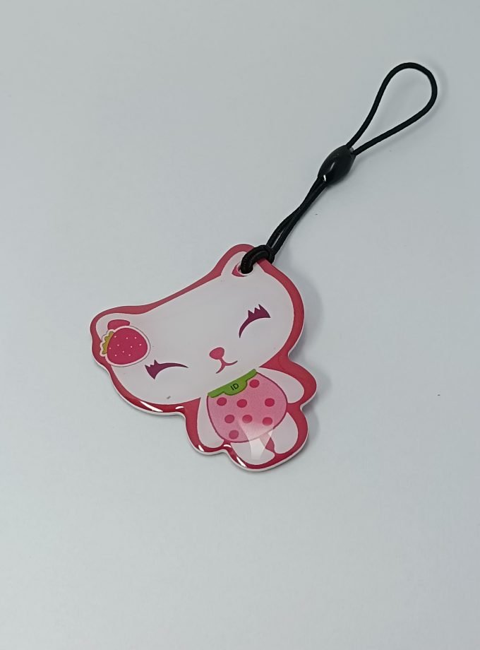 Card into Key Tag - 034