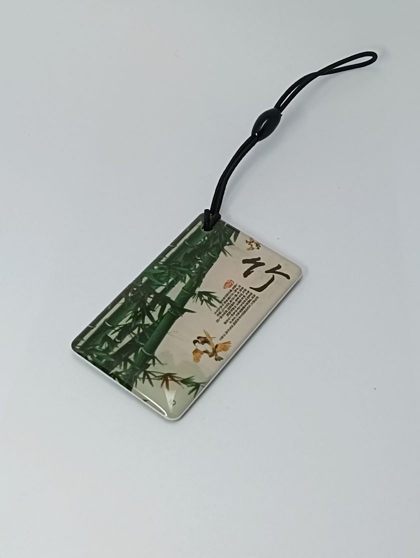 Card into Key Tag - 036