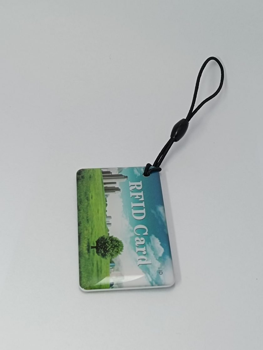 Card into Key Tag - 044