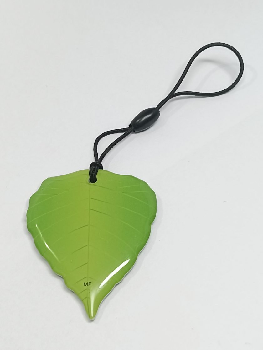 Card into Key Tag  - 064