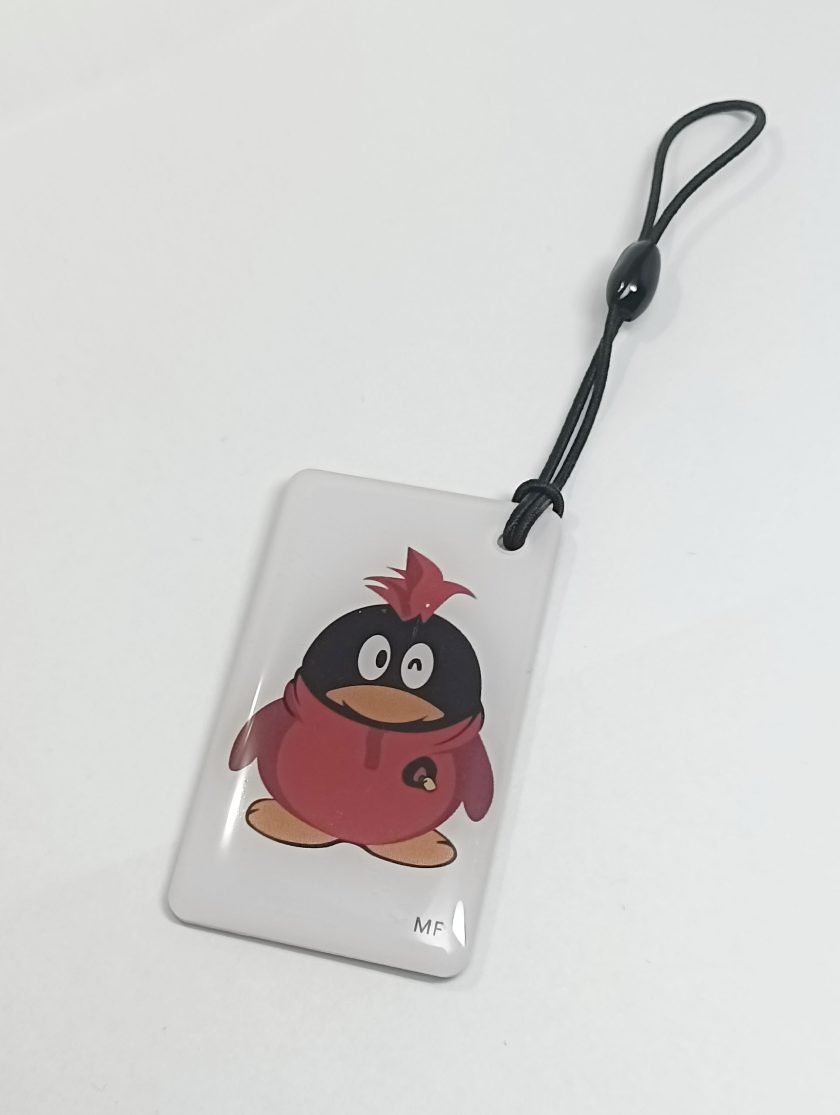 Card into Key Tag  - 065
